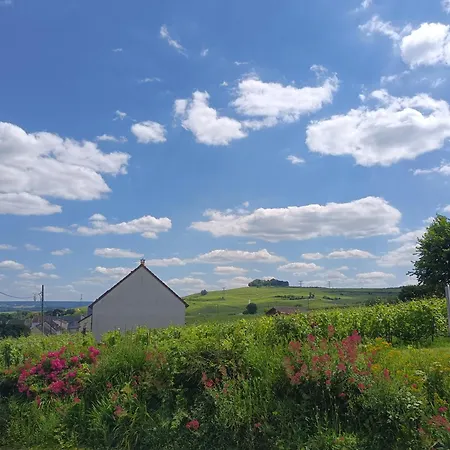 L'annexe - En Champagne *